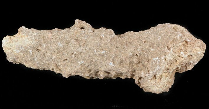 Fulgurite - Petrified Lightening #48366